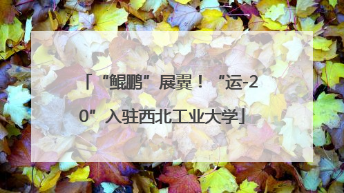 “鲲鹏”展翼！“运-20”入驻西北工业大学