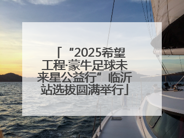 “2025希望工程·蒙牛足球未来星公益行”临沂站选拔圆满举行