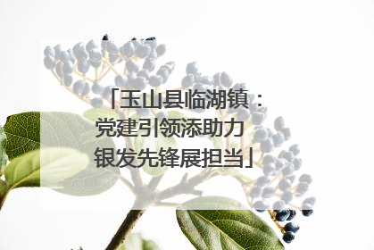玉山县临湖镇：党建引领添助力 银发先锋展担当