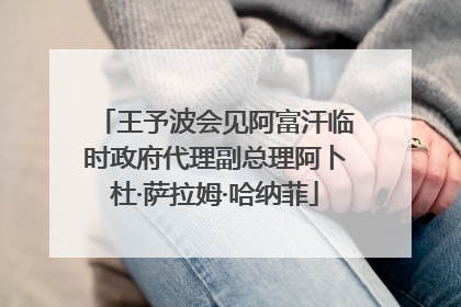 王予波会见阿富汗临时政府代理副总理阿卜杜·萨拉姆·哈纳菲