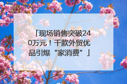 现场销售突破240万元！千款外贸优品引爆“家消费”