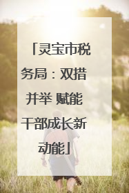 灵宝市税务局：双措并举 赋能干部成长新动能
