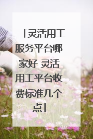 灵活用工服务平台哪家好 灵活用工平台收费标准几个点