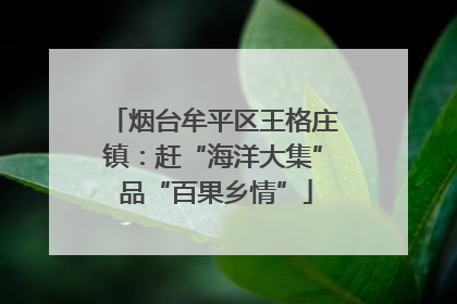 烟台牟平区王格庄镇：赶“海洋大集” 品“百果乡情”