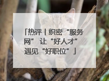 热评丨织密“服务网” 让“好人才”遇见“好职位”