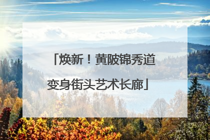 焕新！黄陂锦秀道变身街头艺术长廊