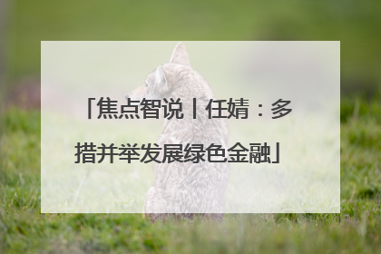 焦点智说丨任婧：多措并举发展绿色金融
