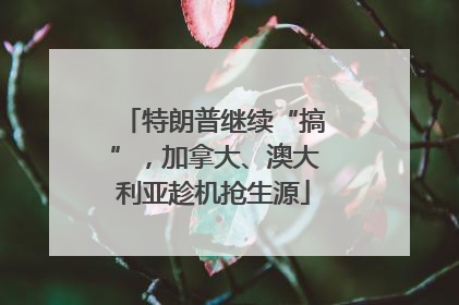 特朗普继续“搞”，加拿大、澳大利亚趁机抢生源