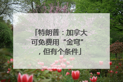 特朗普：加拿大可免费用“金穹”，但有个条件