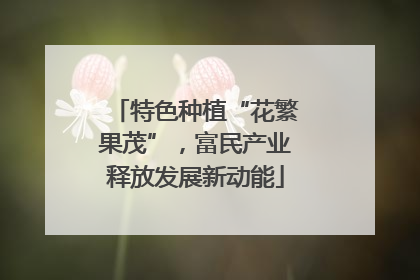 特色种植“花繁果茂”，富民产业释放发展新动能