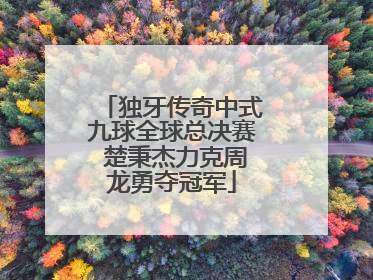 独牙传奇中式九球全球总决赛 楚秉杰力克周龙勇夺冠军