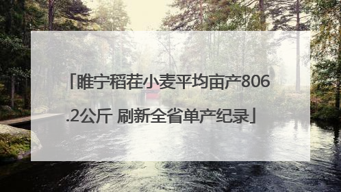 睢宁稻茬小麦平均亩产806.2公斤 刷新全省单产纪录