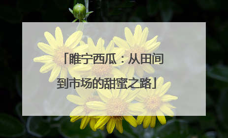 睢宁西瓜：从田间到市场的甜蜜之路