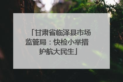 甘肃省临泽县市场监管局：快检小举措 护航大民生