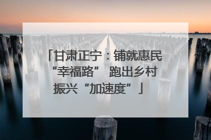 甘肃正宁：铺就惠民“幸福路” 跑出乡村振兴“加速度”