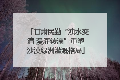 甘肃民勤“浊水变清 漫灌转滴”重塑沙漠绿洲灌溉格局