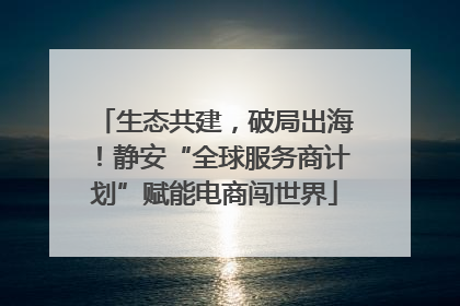 生态共建，破局出海！静安“全球服务商计划”赋能电商闯世界