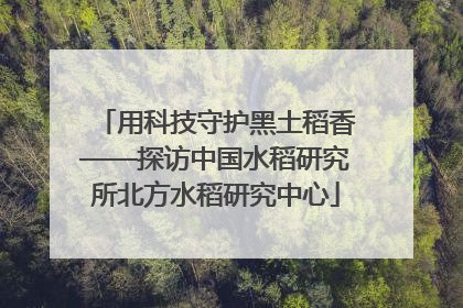 用科技守护黑土稻香——探访中国水稻研究所北方水稻研究中心