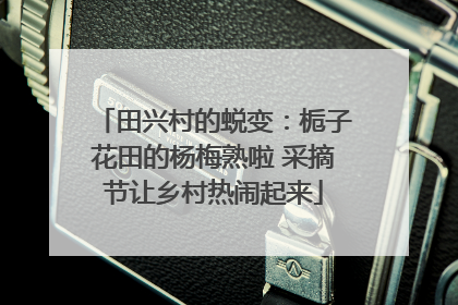田兴村的蜕变：栀子花田的杨梅熟啦 采摘节让乡村热闹起来