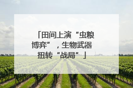 田间上演“虫粮博弈”，生物武器扭转“战局”