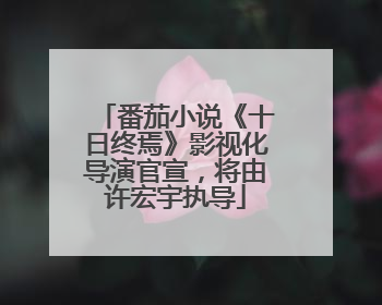 番茄小说《十日终焉》影视化导演官宣，将由许宏宇执导