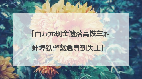 百万元现金遗落高铁车厢 蚌埠铁警紧急寻到失主