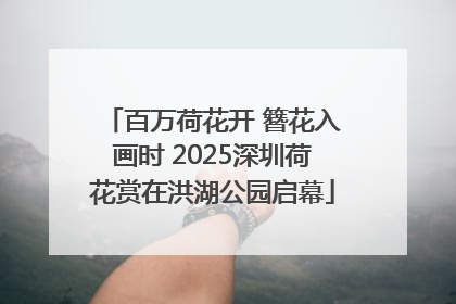 百万荷花开 簪花入画时 2025深圳荷花赏在洪湖公园启幕