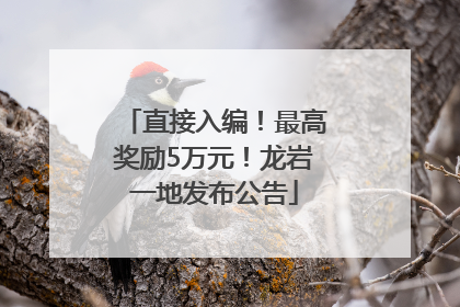 直接入编！最高奖励5万元！龙岩一地发布公告