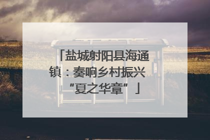 盐城射阳县海通镇：奏响乡村振兴“夏之华章”