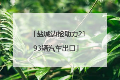 盐城边检助力2193辆汽车出口
