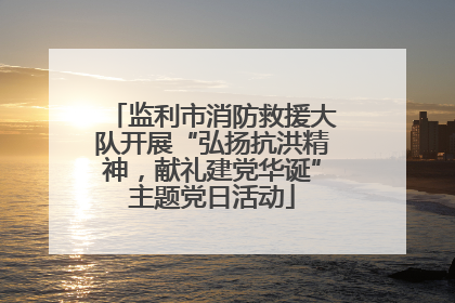 监利市消防救援大队开展“弘扬抗洪精神，献礼建党华诞”主题党日活动