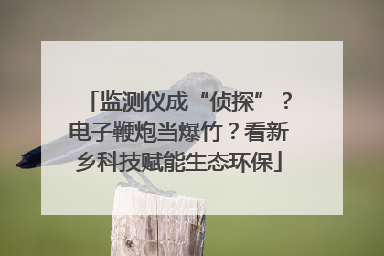 监测仪成“侦探”？电子鞭炮当爆竹？看新乡科技赋能生态环保