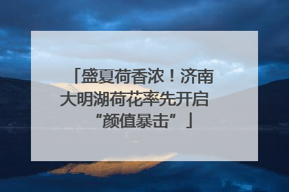 盛夏荷香浓！济南大明湖荷花率先开启“颜值暴击”