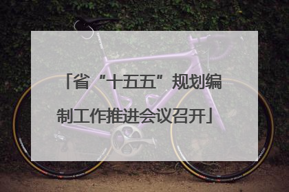 省“十五五”规划编制工作推进会议召开