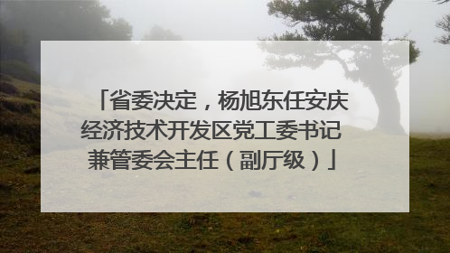 省委决定，杨旭东任安庆经济技术开发区党工委书记兼管委会主任（副厅级）