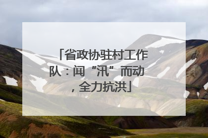 省政协驻村工作队：闻“汛”而动，全力抗洪