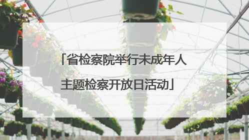 省检察院举行未成年人主题检察开放日活动