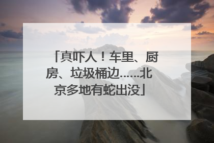 真吓人！车里、厨房、垃圾桶边……北京多地有蛇出没