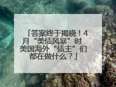 答案终于揭晓！4月“美债风暴”时 美国海外“债主”们都在做什么？
