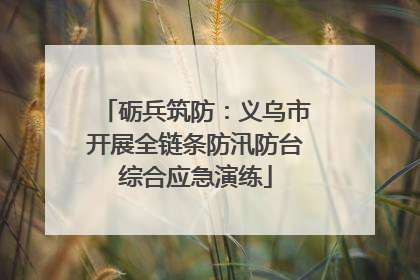 砺兵筑防：义乌市开展全链条防汛防台综合应急演练