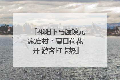祁阳下马渡镇元家庙村：夏日荷花开 游客打卡热