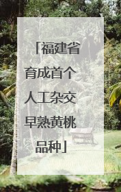 福建省育成首个人工杂交早熟黄桃品种