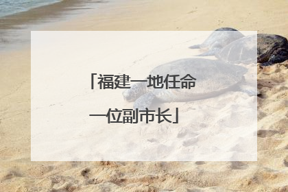 福建一地任命一位副市长