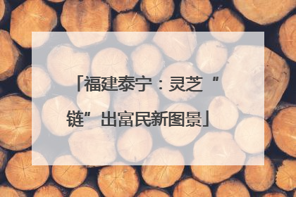 福建泰宁：灵芝“链”出富民新图景