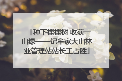种下棵棵树 收获一山绿——记牟家大山林业管理站站长王占胜