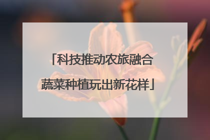 科技推动农旅融合 蔬菜种植玩出新花样
