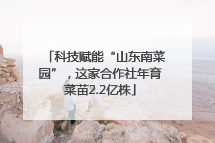 科技赋能“山东南菜园”，这家合作社年育菜苗2.2亿株