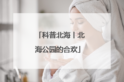 科普北海丨北海公园的合欢