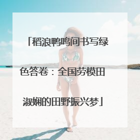 稻浪鸭鸣间书写绿色答卷：全国劳模田淑娴的田野振兴梦