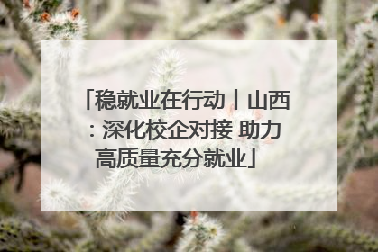 稳就业在行动丨山西：深化校企对接 助力高质量充分就业
